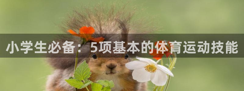 ug环球官网